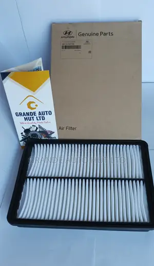 Air Filter Hyundai Santa Fe 2012 Geniune
