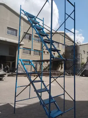 Access Ladders for Sale