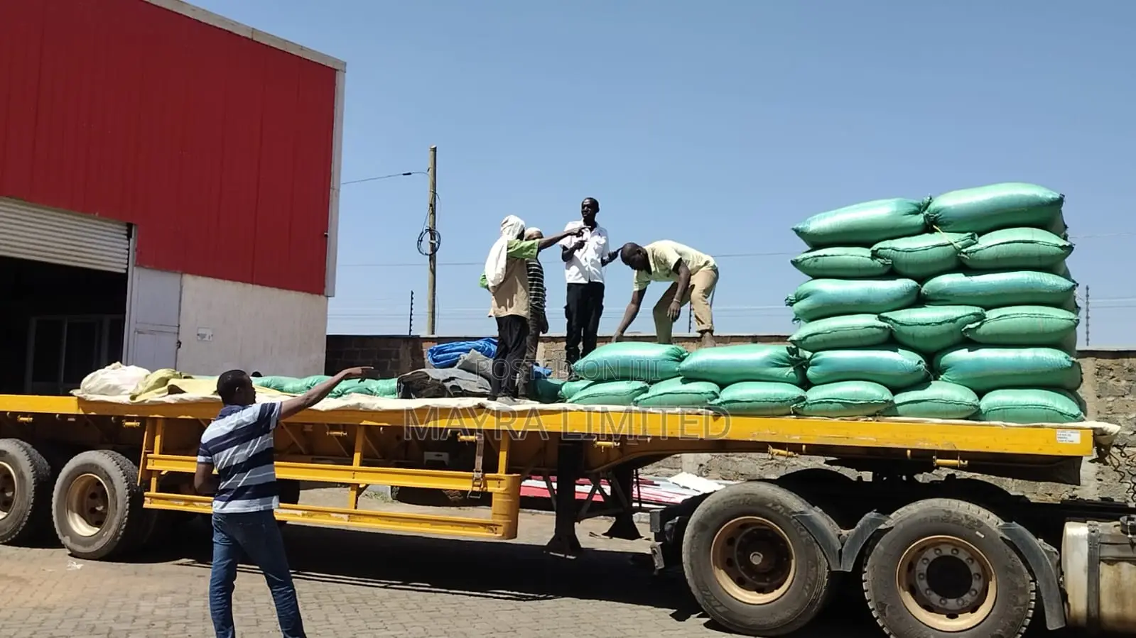 Well Dried Maize in Nairobi