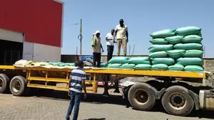 Well Dried Maize in Nairobi