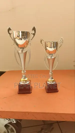 Modern Classic Award Trophies Available