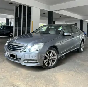 Mercedes-Benz E220 2010 Silver