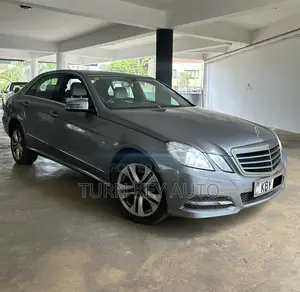 Mercedes-Benz E220 2010 Silver