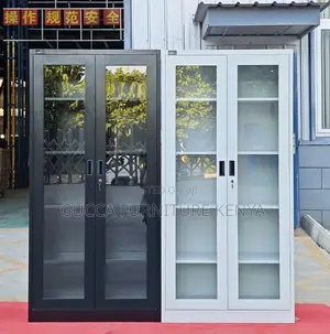 2-door Full Glass Home Office File Cabinet