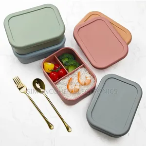 Partitioned Silicone Lunch Box