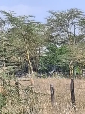 Isinya Township Prime Commercial 10ac Opposite Total Petrol Station