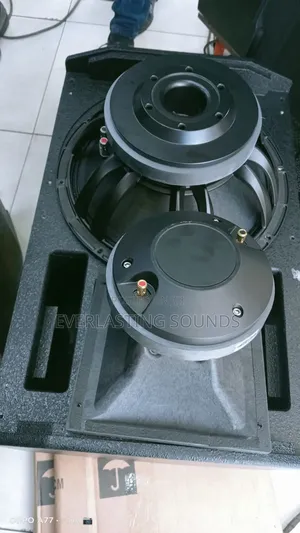 Tremor Speaker System