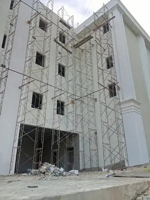 Painting Ladders /Frames