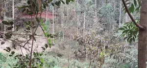 Prime 1-Acre Land for Sale: Kahara Road, Ngong