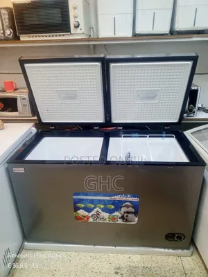 Double Door Freezer (Premier)