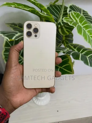 Apple iPhone 12 Pro Max 256 GB Silver