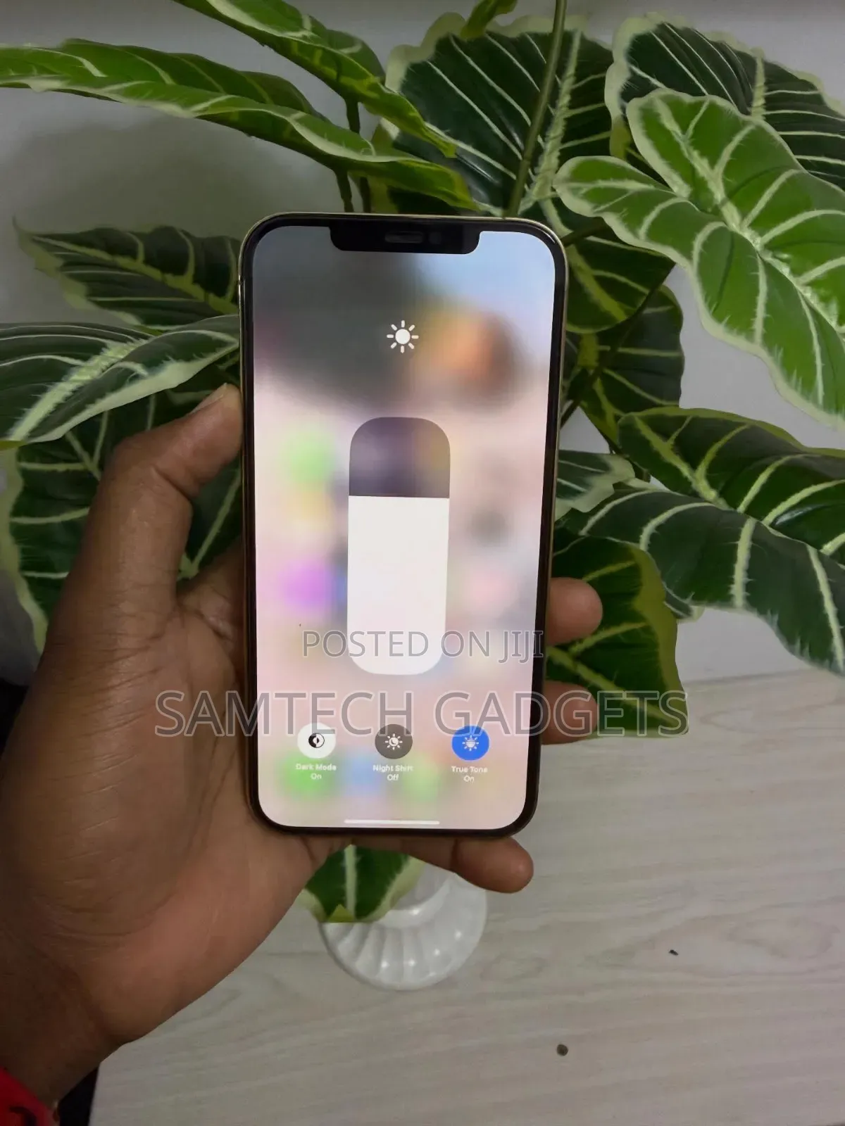 Apple iPhone 12 Pro Max 256 GB Silver