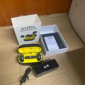  Plug-and-Play Pro Wireless Microphone