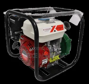 Windsor Gasoline Water Pump