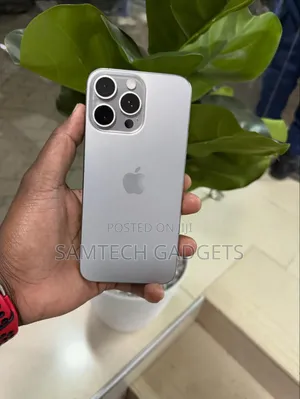 Apple iPhone 15 Pro Max 256 GB Gray