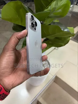 Apple iPhone 15 Pro Max 256 GB Gray