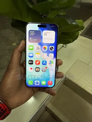 Apple iPhone 15 Pro Max 256 GB Gray