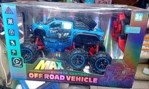 Remote Control Double Wheel Vehicles