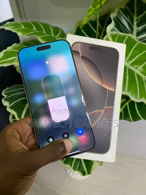 Apple iPhone 16 Pro Max 256 GB Silver
