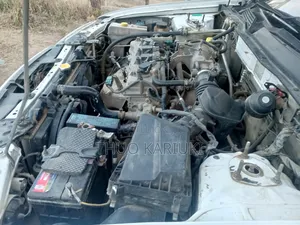 Nissan Sylphy 2008 White