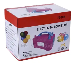 Model 73005 Electric Balloon Pump.