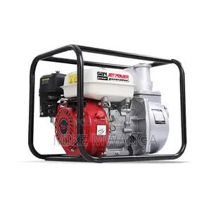 Windsor Gasoline Water Pump