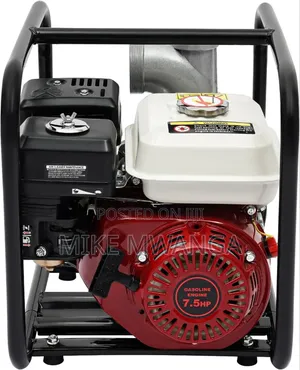 Windsor Gasoline Water Pump