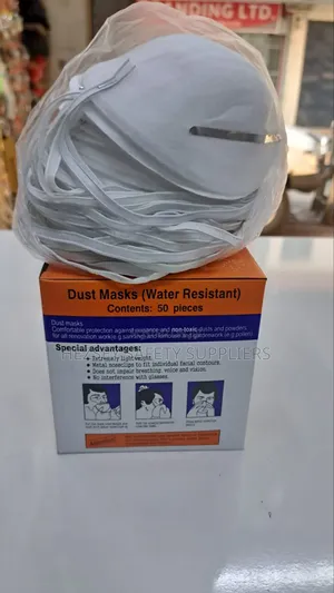 Affordable Dust Mask