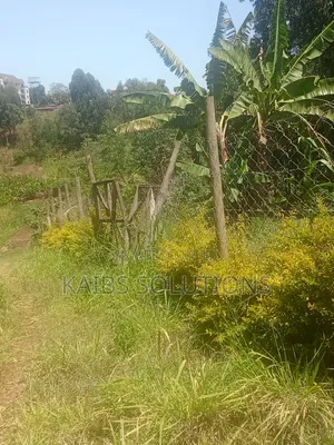 50 By100 Plot Ruaka Kigwaru Drive 3.8m