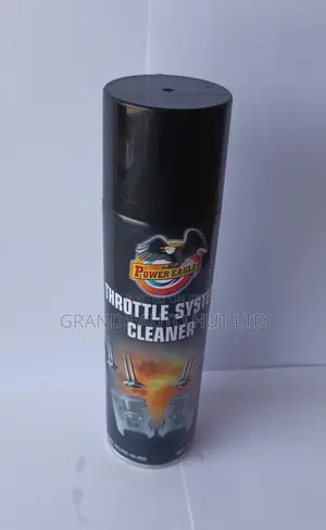 Throttle System Cleaner (Power Eagle Brand)