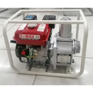 Windsor Gasoline Water Pump