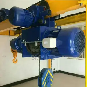 Professional 5t Electric Crane Hoist Equipment