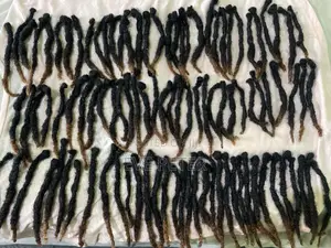 Premium 4c Dreadlocks With Highlighted Brown Tips - Ready To Install