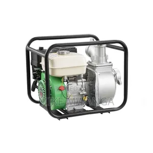 Windsor Gasoline Water Pump