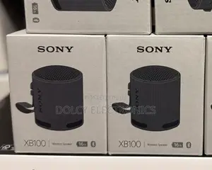 Sony Xb100 Portable Wireless Speaker.