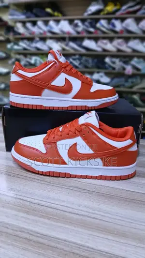 Nike Sb Dunks Orange