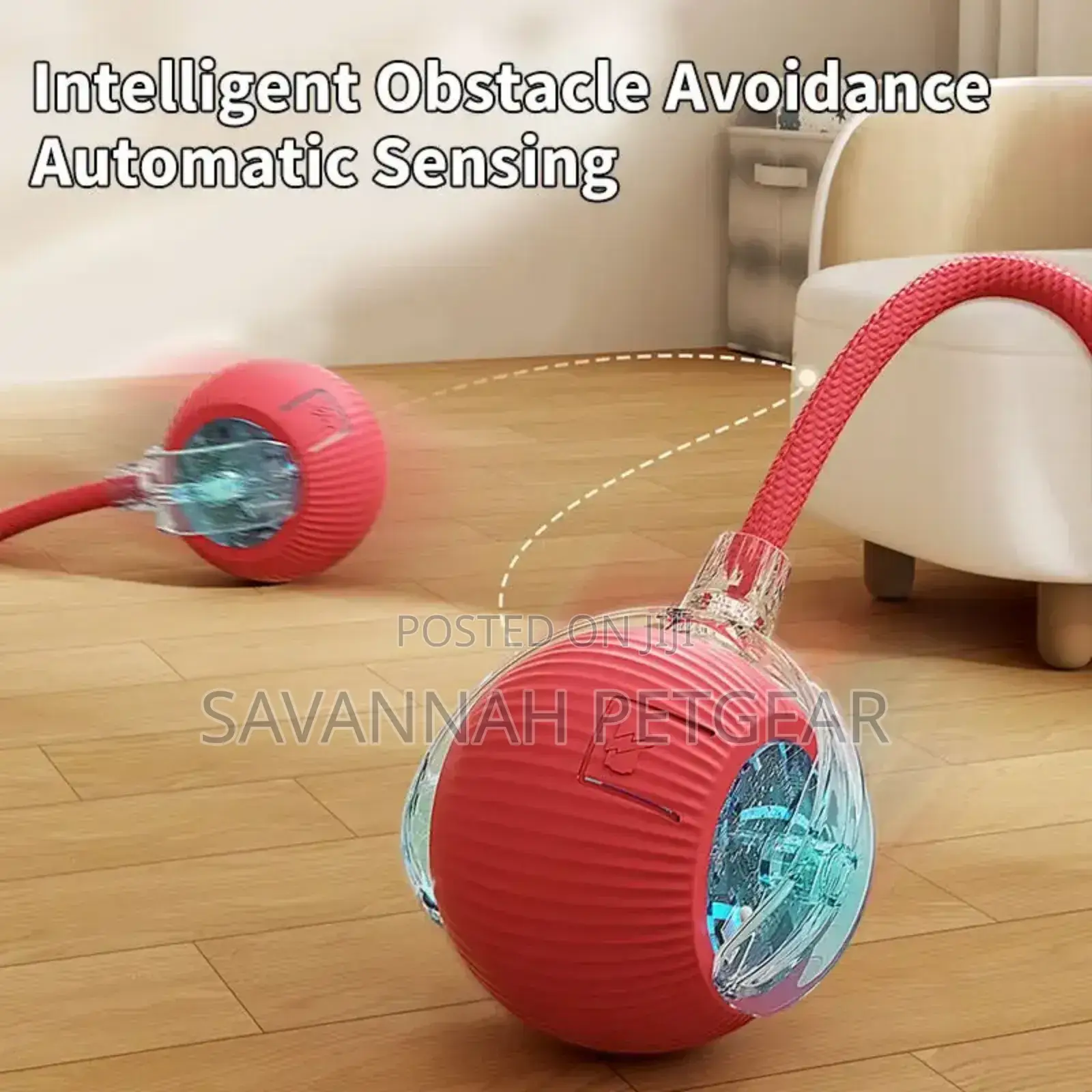 Automatic Dodgeball Rolling Cat Toy, Motion Activated, Smart Wake, Usb