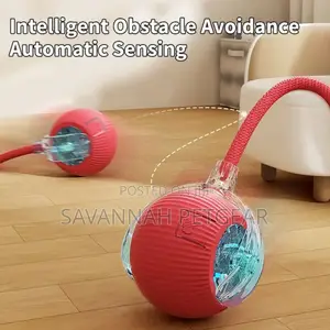 Automatic Dodgeball Rolling Cat Toy, Motion Activated, Smart Wake, Usb