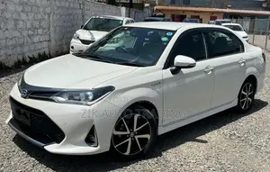 Toyota Axio 2019 Red
