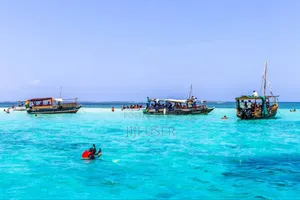 Diani Wasini Tours