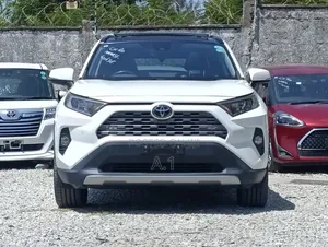 Toyota RAV4 XLE Premium FWD 2019 Pearl