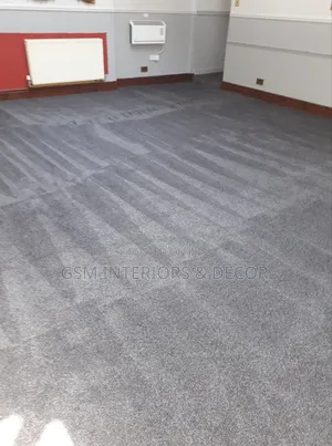 Bright Grey Wall to Wall Carpets Kenya One