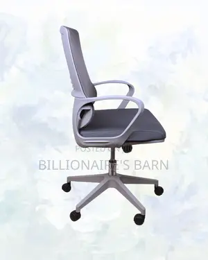 Breathable Mesh Office Chair • Workday Comfort, Lower-Back Support