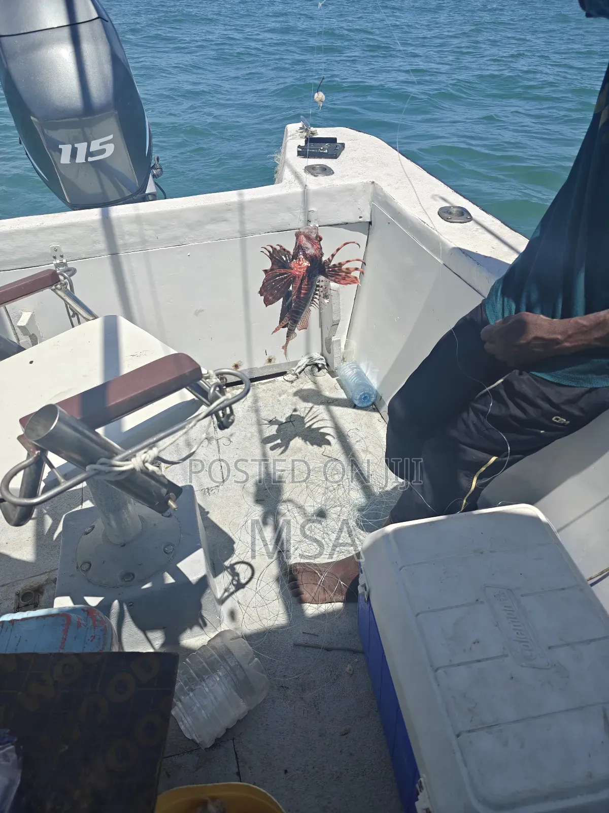 Boat With 115hp 4 Strock Engine
