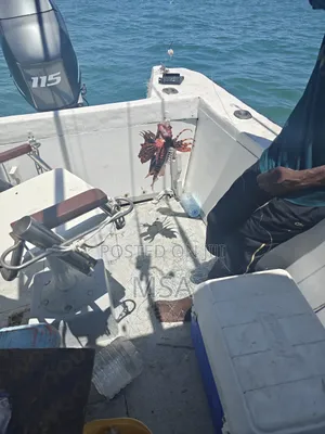 Boat With 115hp 4 Strock Engine