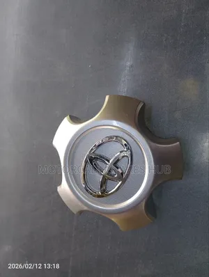 Toyota Rav4 2008/2009 Wheel Rim Cap