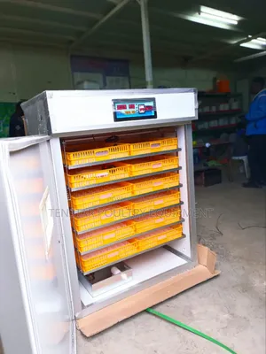 1056 Eggs Incubator