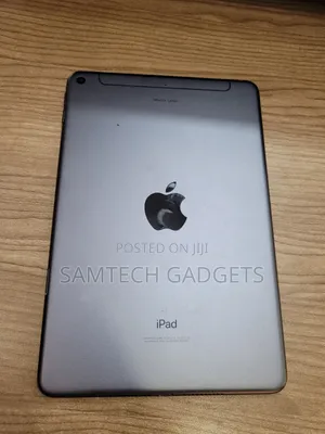 Apple iPad mini Wi-Fi + Cellular 256 GB Gray