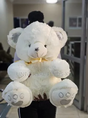 Soft Plush and Fancy Teddy Bear