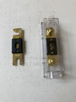 Automotive Fuse Anl Fuse 100a With Holder
